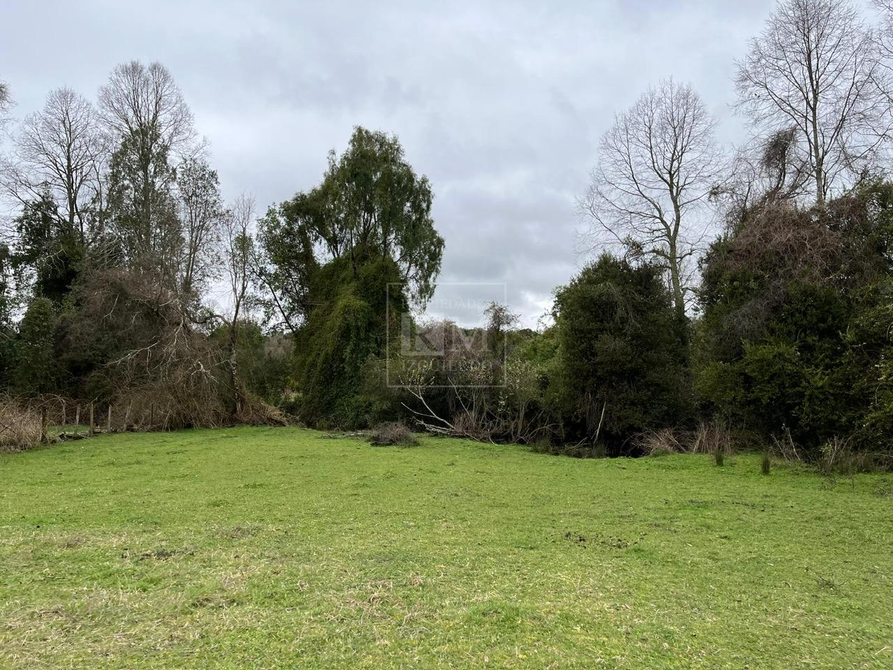 Parcela en venta en Paillaco — foto 1