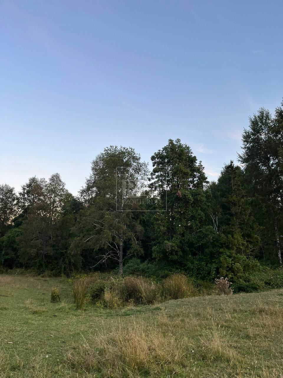 Parcela en venta en Paillaco — foto 2