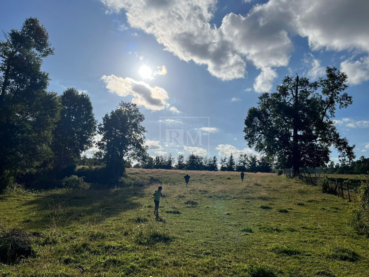 Parcela en venta en Paillaco — foto 3