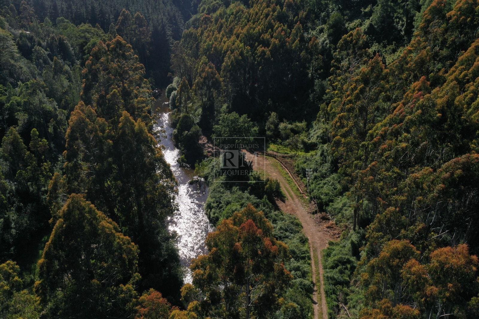 Parcela en venta en Valdivia — foto 3