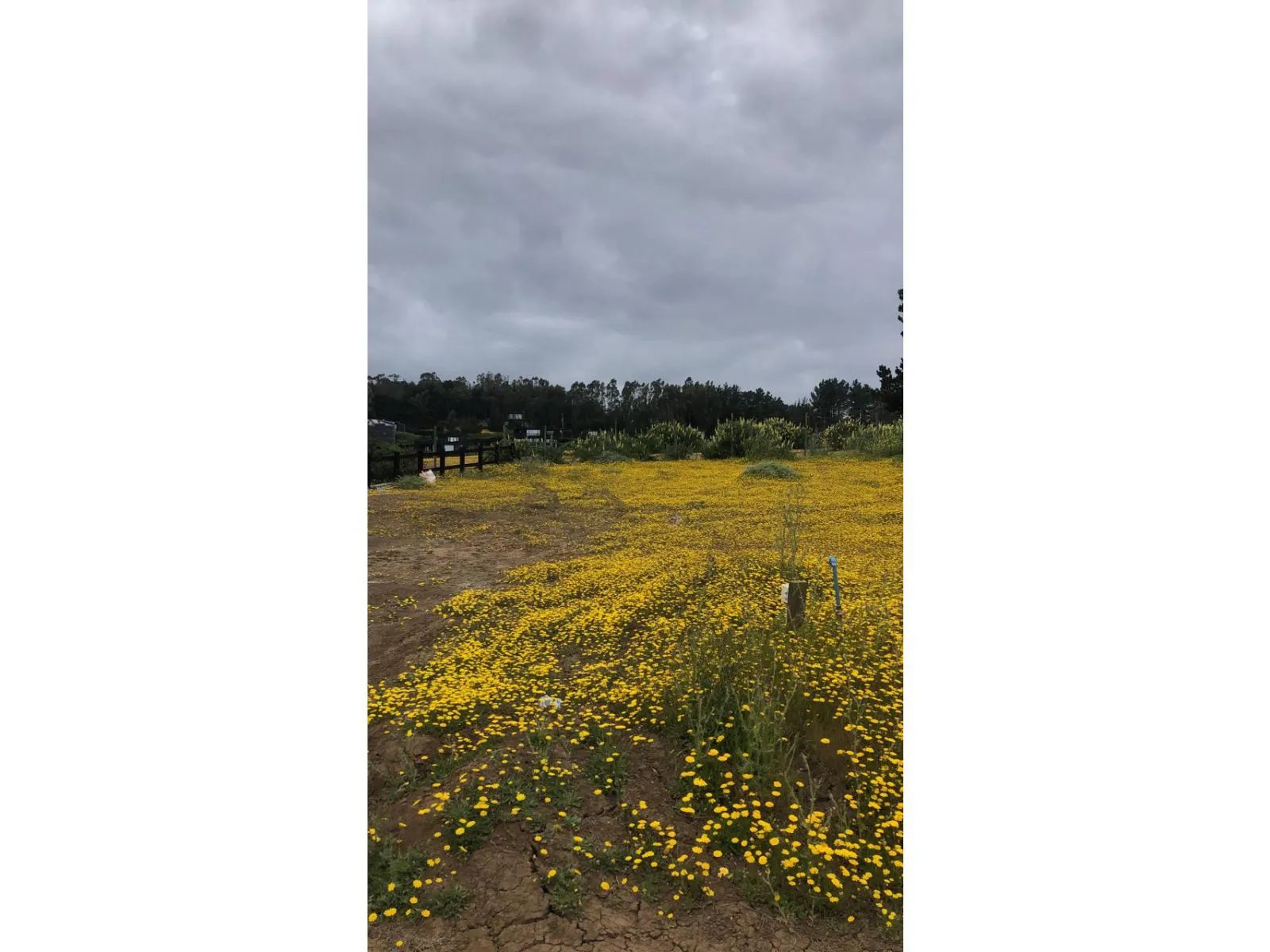 Terreno en venta en Pichilemu — foto 3
