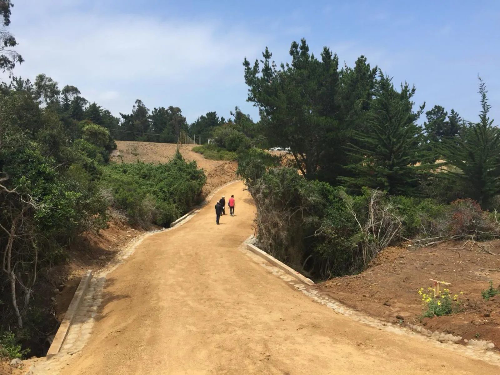 Terreno en venta en Pichilemu — foto 4