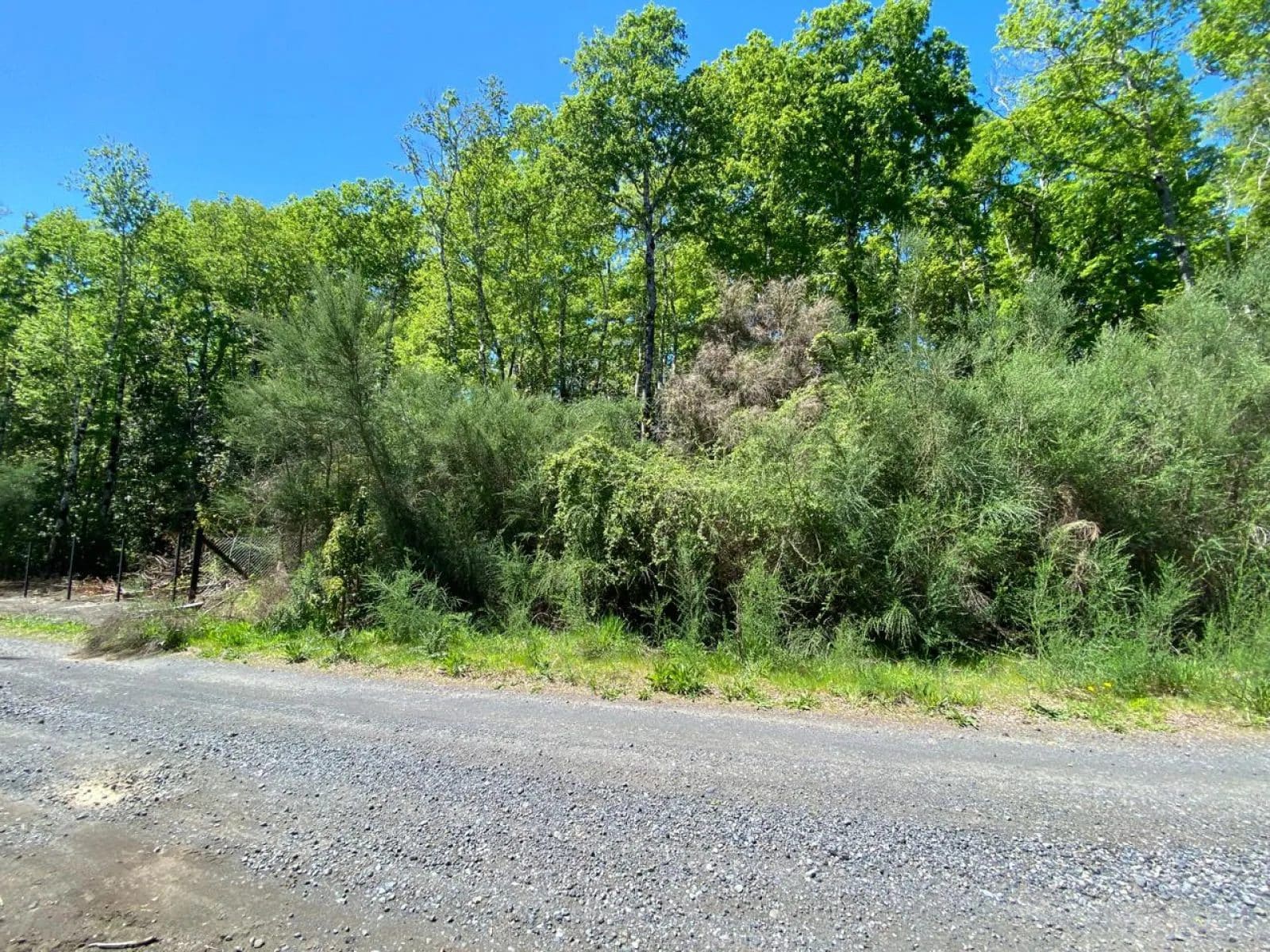 Parcela en venta en Pucón — foto 2