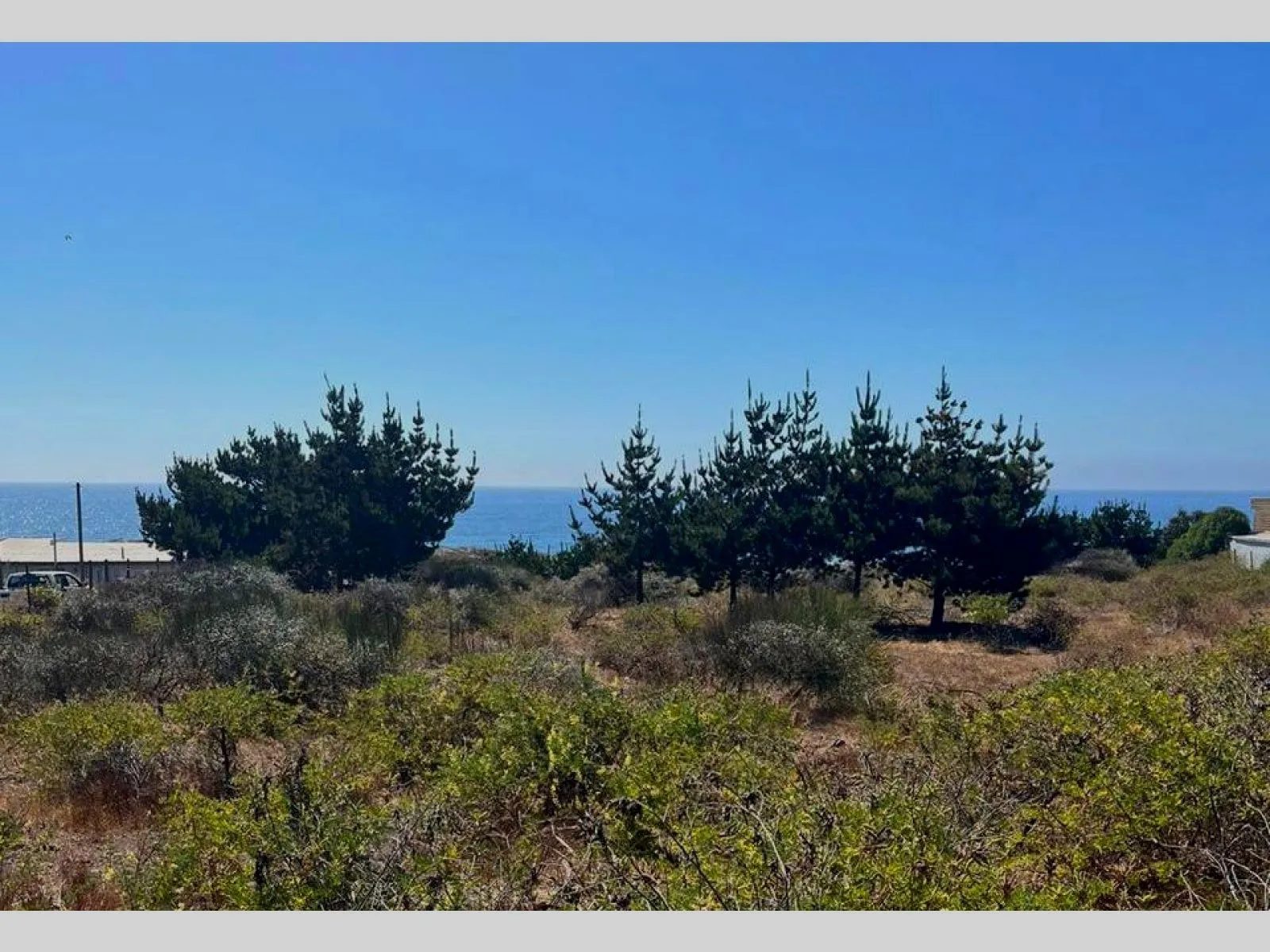 Parcela en venta en Pelluhue — foto 1