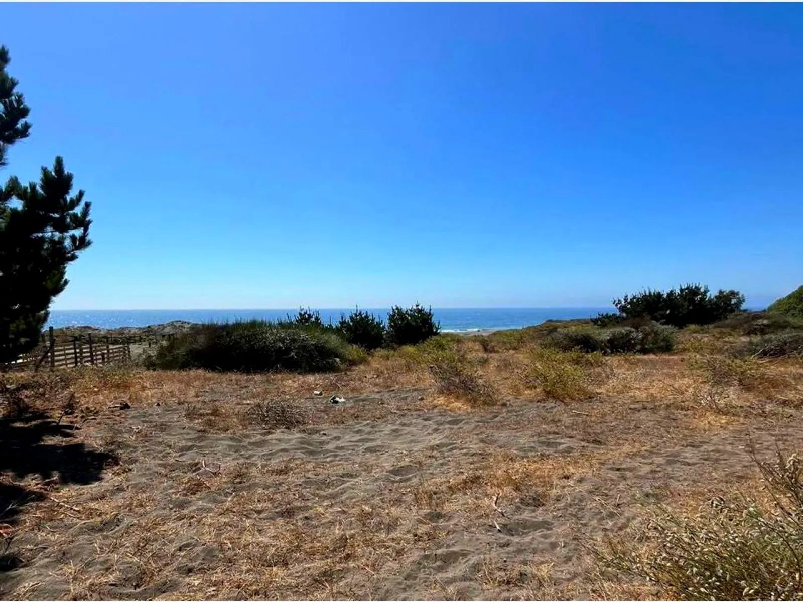 Parcela en venta en Pelluhue — foto 3