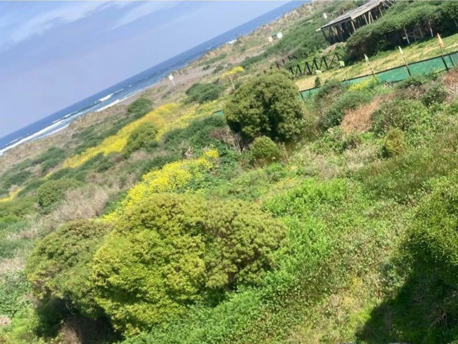 Parcela en venta en Pichilemu — foto 1