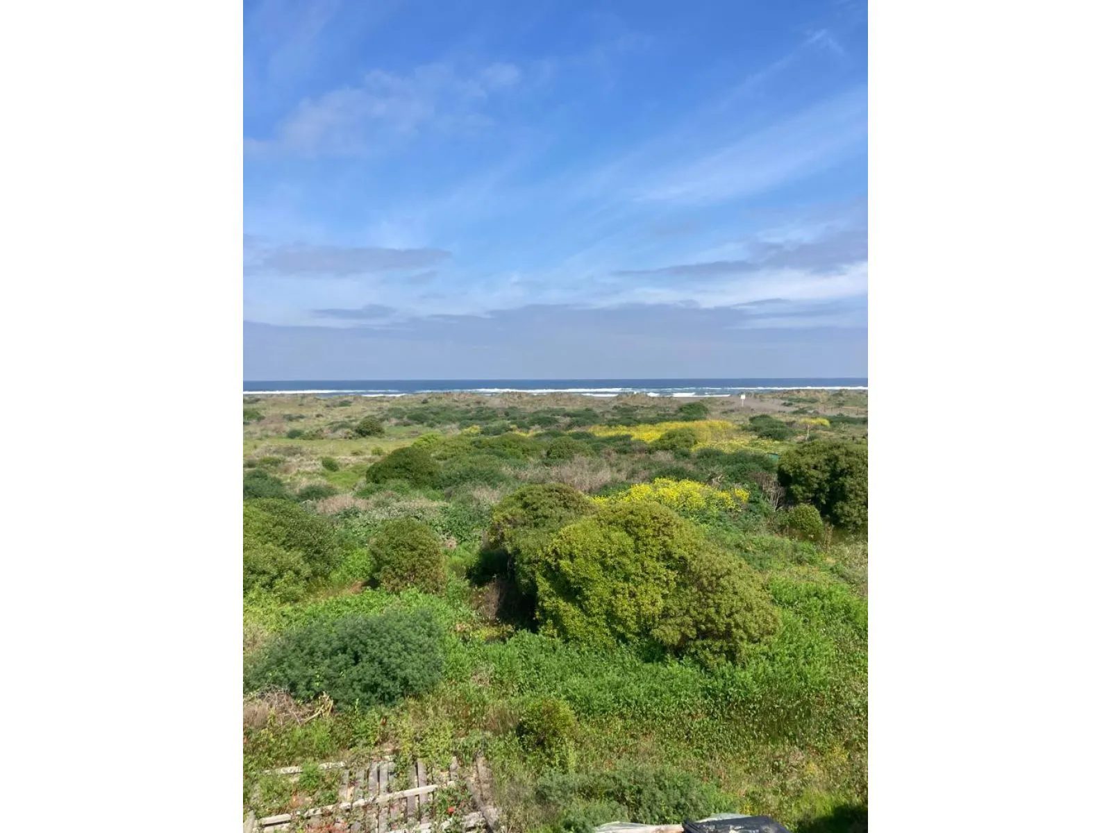 Parcela en venta en Pichilemu — foto 2