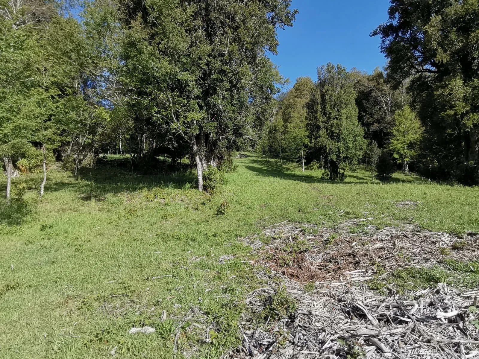 Parcela en venta en Pucón — foto 8