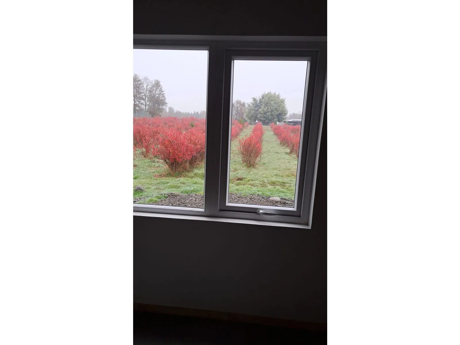 Casa en venta en Villarrica — foto 4