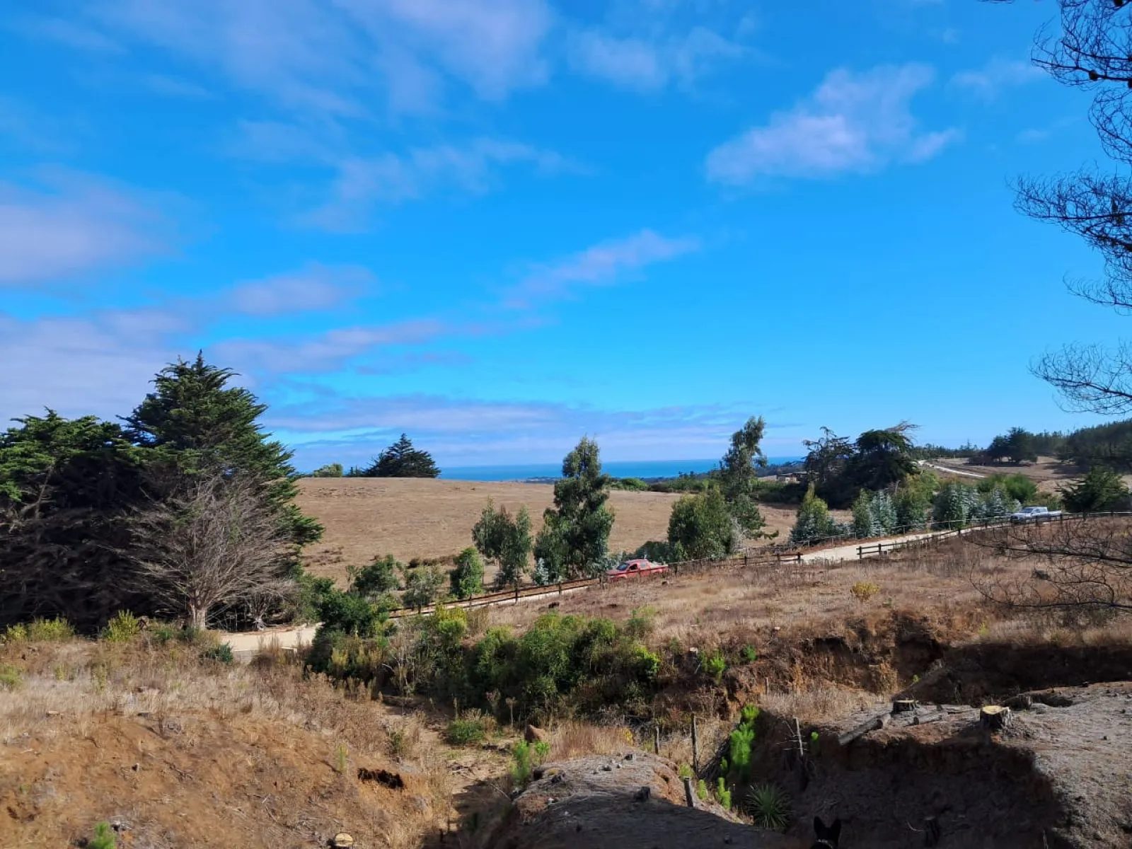 Parcela en venta en Pichilemu — foto 1