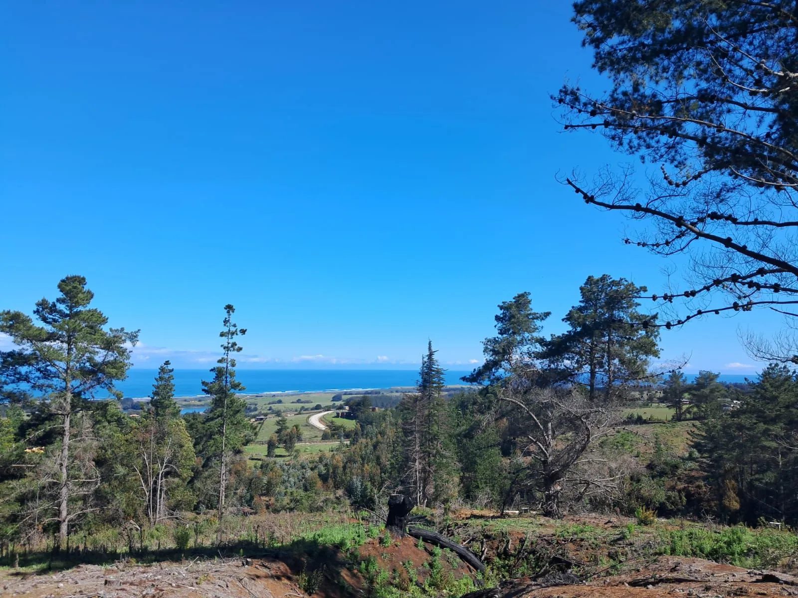 Parcela en venta en Pichilemu — foto 2