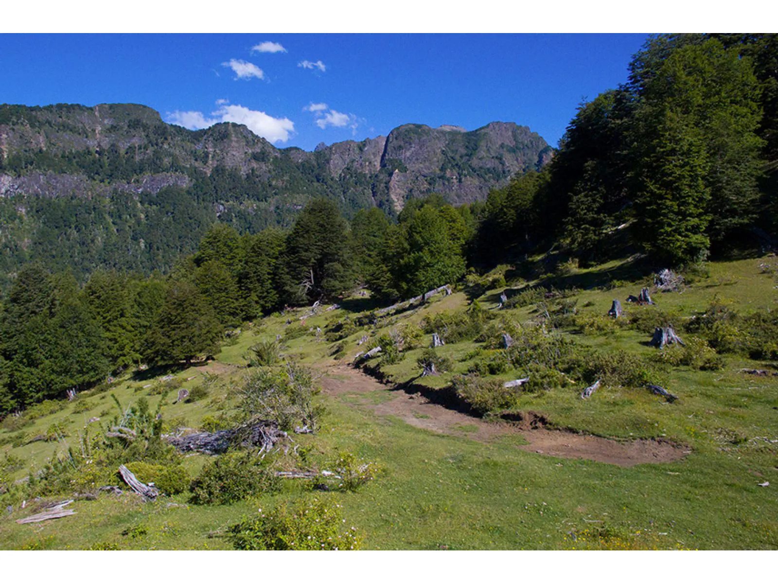 Parcela en venta en Pucón — foto 3