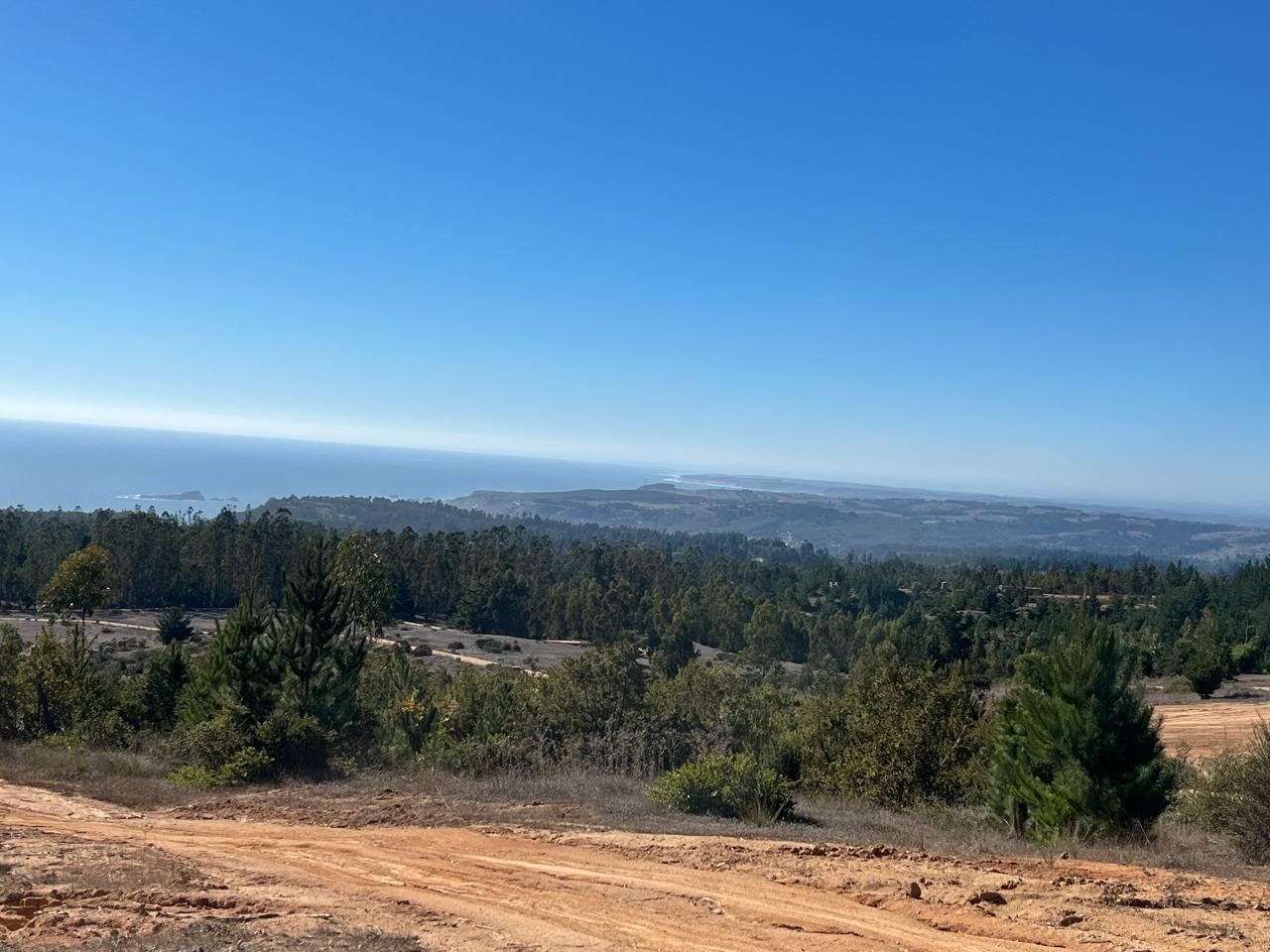 Terreno en venta en Navidad — foto 1