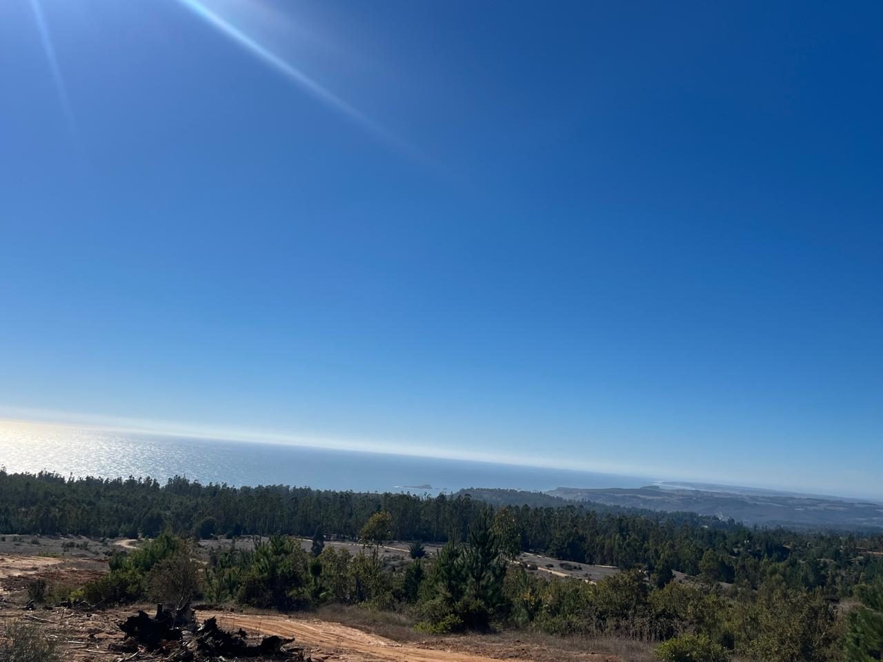 Terreno en venta en Navidad — foto 3