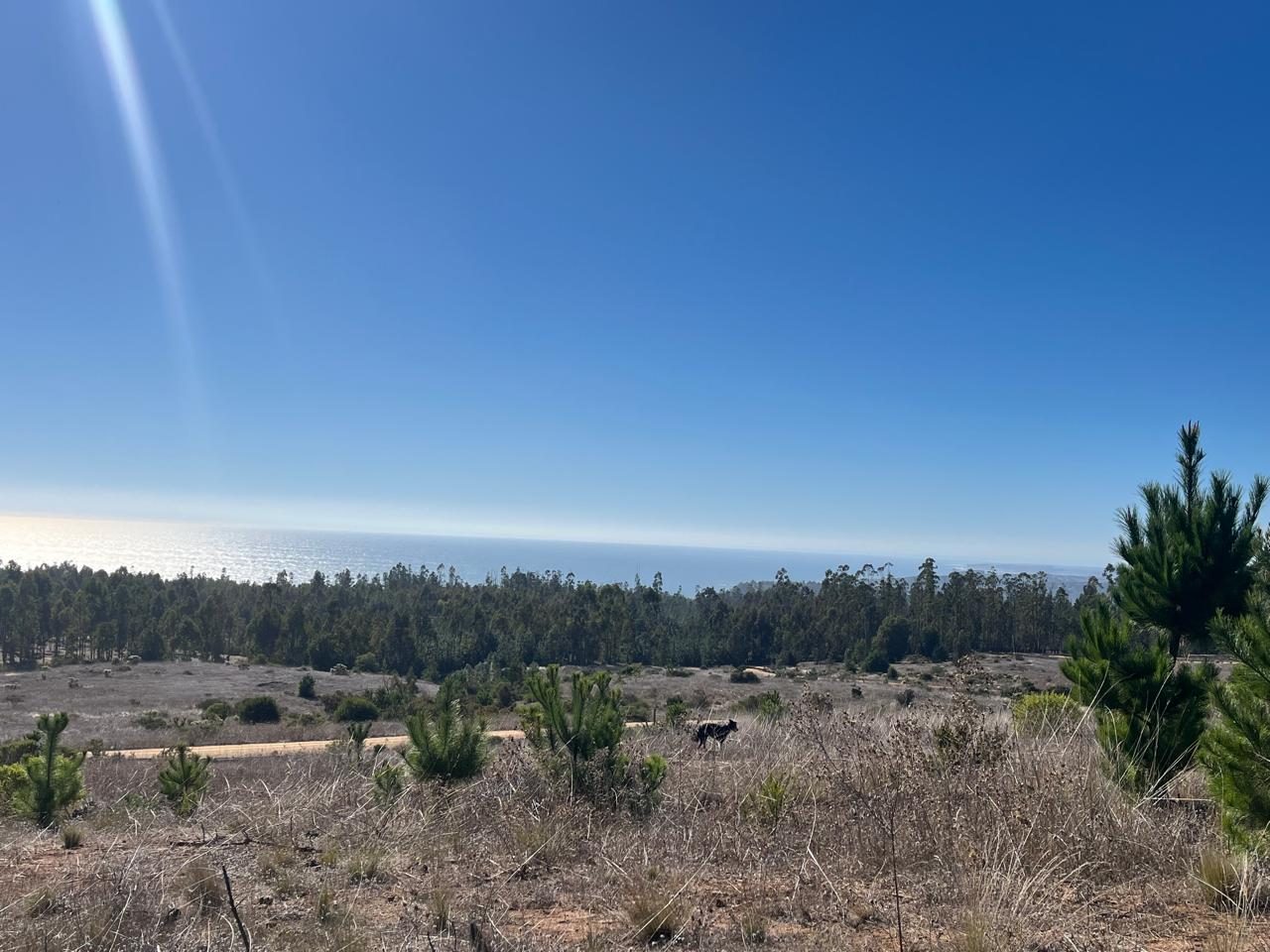 Terreno en venta en Navidad — foto 5