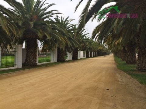 Parcela en venta en Isla de Maipo — foto 1