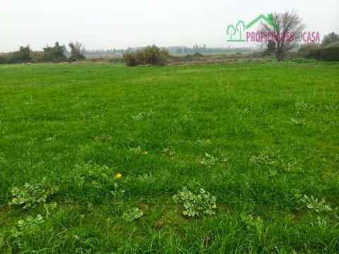 Parcela en venta en Isla de Maipo — foto 2