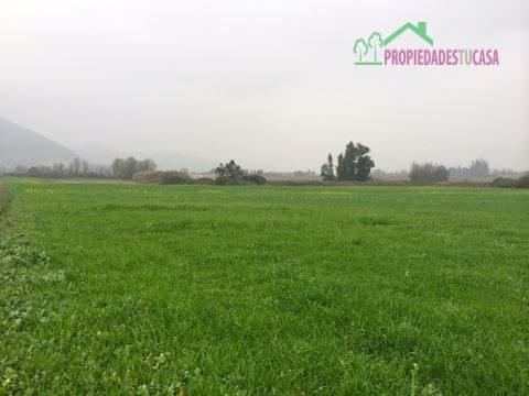 Parcela en venta en Isla de Maipo — foto 3