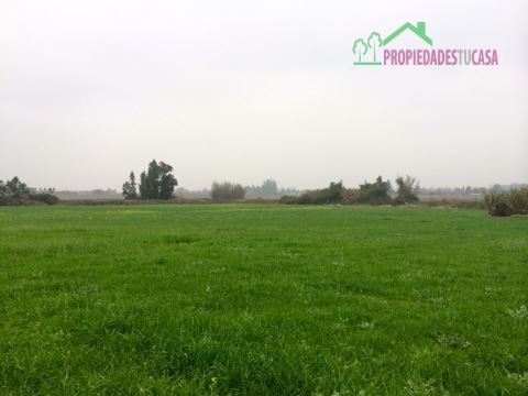 Parcela en venta en Isla de Maipo — foto 4