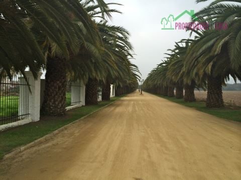Parcela en venta en Isla de Maipo — foto 5