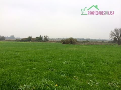 Parcela en venta en Isla de Maipo — foto 6