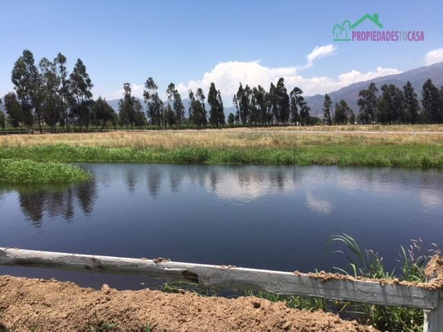 Parcela en venta en San Fernando — foto 4