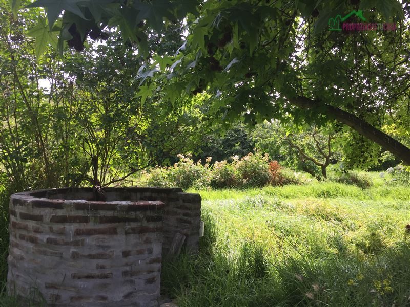 Terreno en venta en Peñaflor — foto 1
