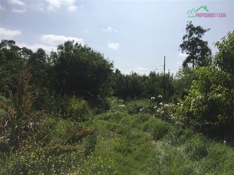 Terreno en venta en Peñaflor — foto 2