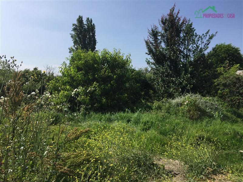 Terreno en venta en Peñaflor — foto 3