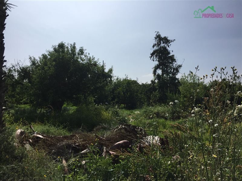 Terreno en venta en Peñaflor — foto 4