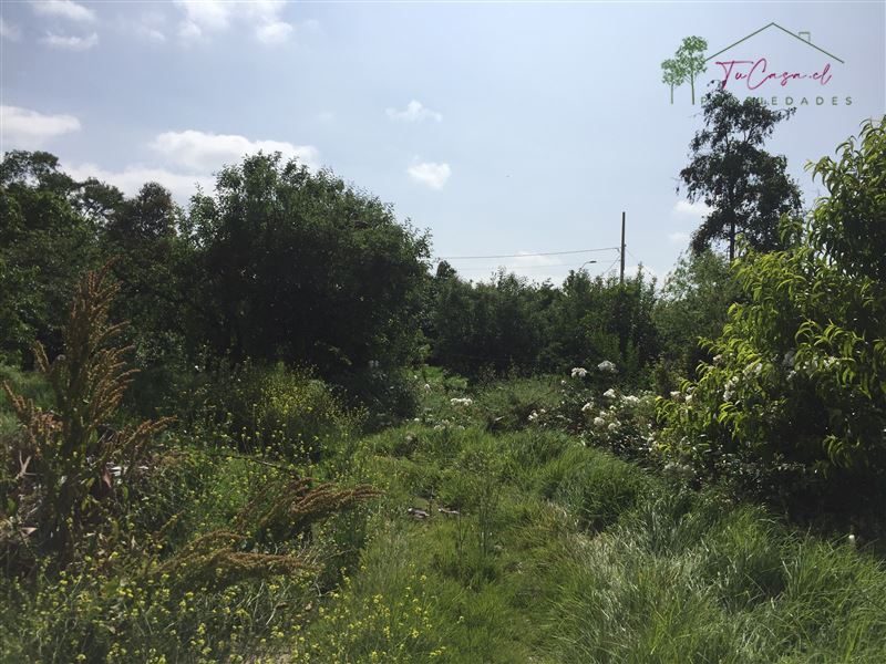 Terreno en venta en Peñaflor — foto 7