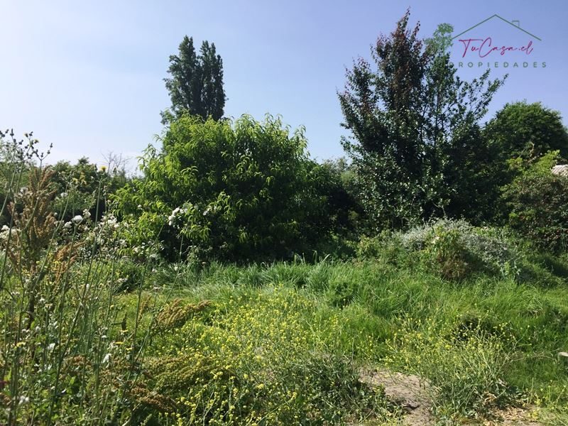 Terreno en venta en Peñaflor — foto 9