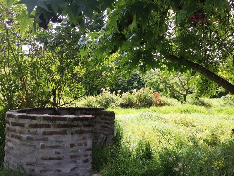Terreno en venta en Peñaflor — foto 10
