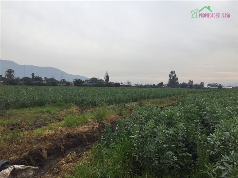 Parcela en venta en Melipilla — foto 1