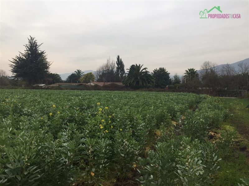 Parcela en venta en Melipilla — foto 2