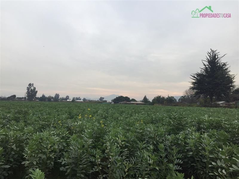 Parcela en venta en Melipilla — foto 3