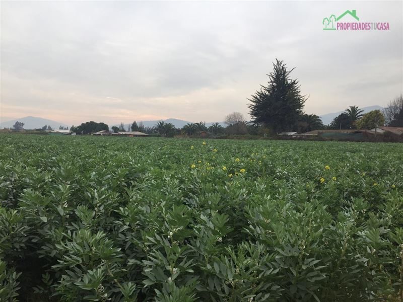 Parcela en venta en Melipilla — foto 5