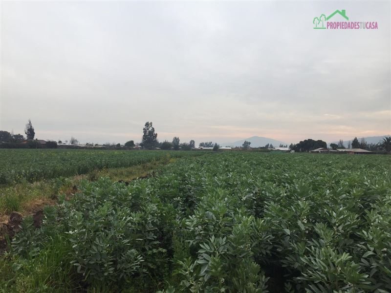 Parcela en venta en Melipilla — foto 6