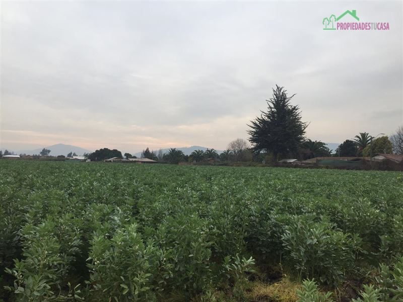 Parcela en venta en Melipilla — foto 7