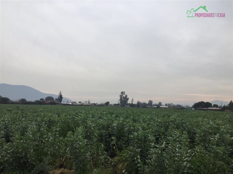 Parcela en venta en Melipilla — foto 8
