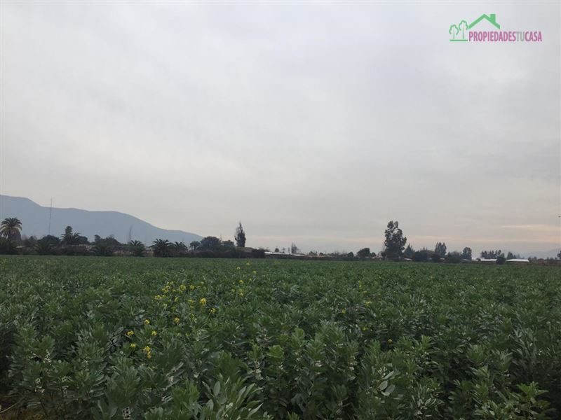 Parcela en venta en Melipilla — foto 9