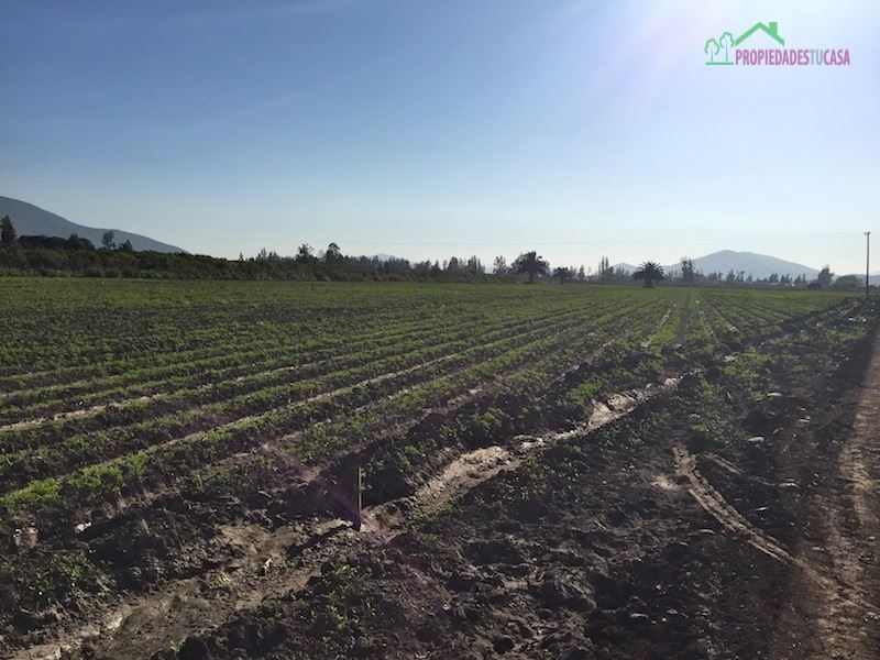 Parcela en venta en Melipilla — foto 7