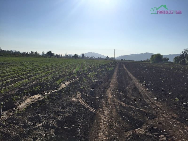 Parcela en venta en Melipilla — foto 9