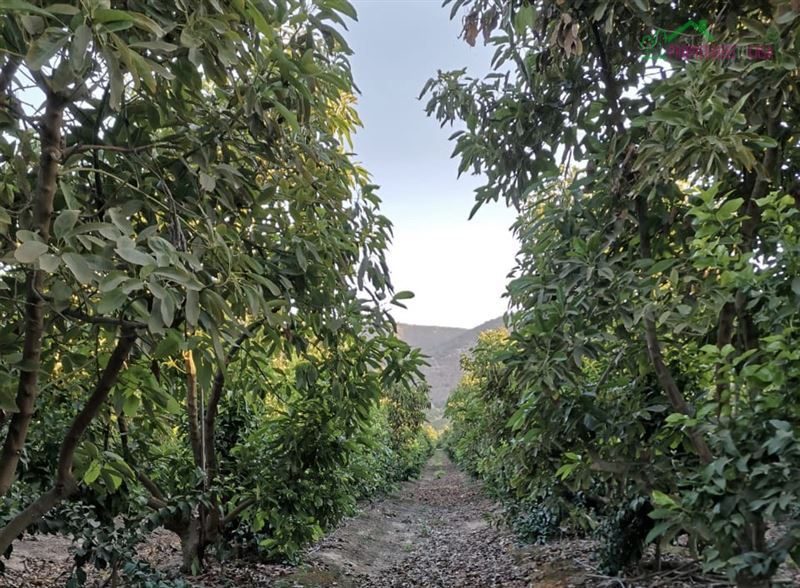 Parcela en venta en Isla de Maipo — foto 1