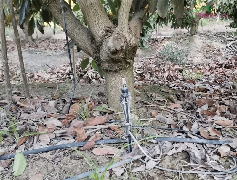 Parcela en venta en Isla de Maipo — foto 4