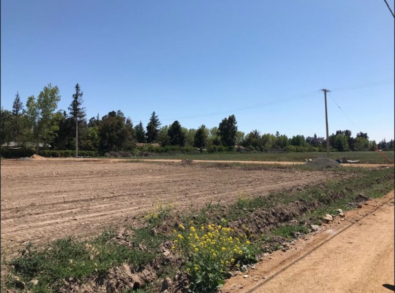 Parcela en venta en Talagante — foto 4