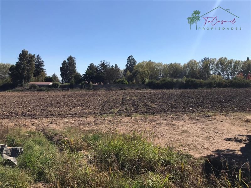 Parcela en venta en Talagante — foto 5