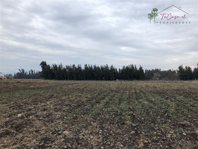 Parcela en venta en Talagante — foto 8