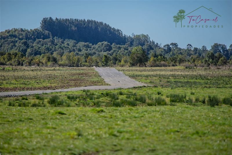 Parcela en venta en Los Muermos — foto 9