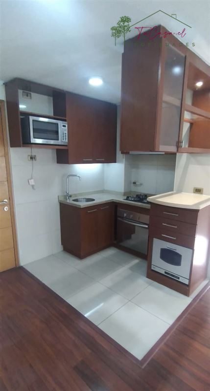 Departamento en venta en Providencia — foto 2